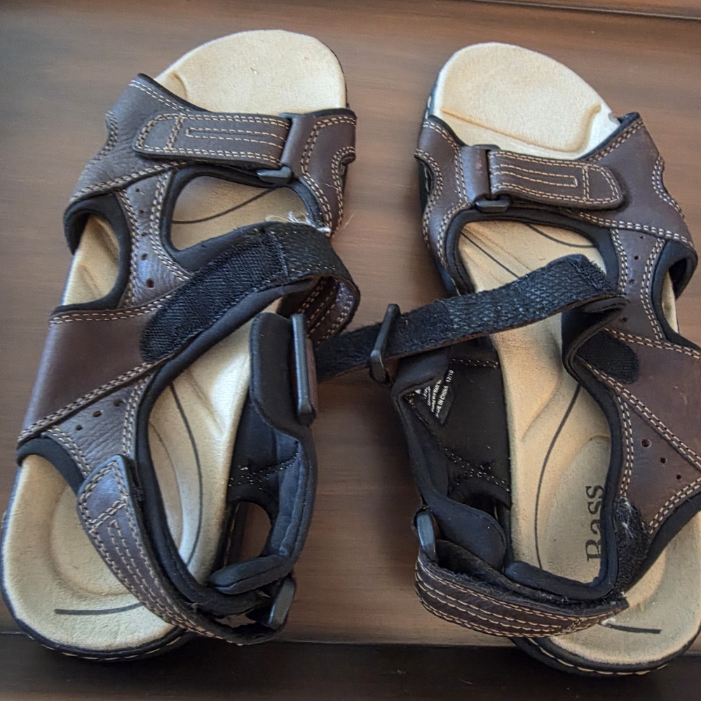 Bass Men's Dark Brown Sandals